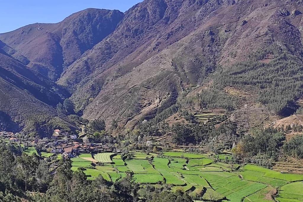 Casa Do Avo Ze Villa Covas do Monte Екстериор снимка